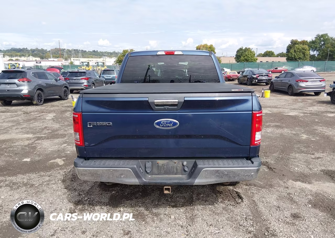 2016 Ford F-150 Xlt VIN:1FTEW1EP1GFA49487 - 16