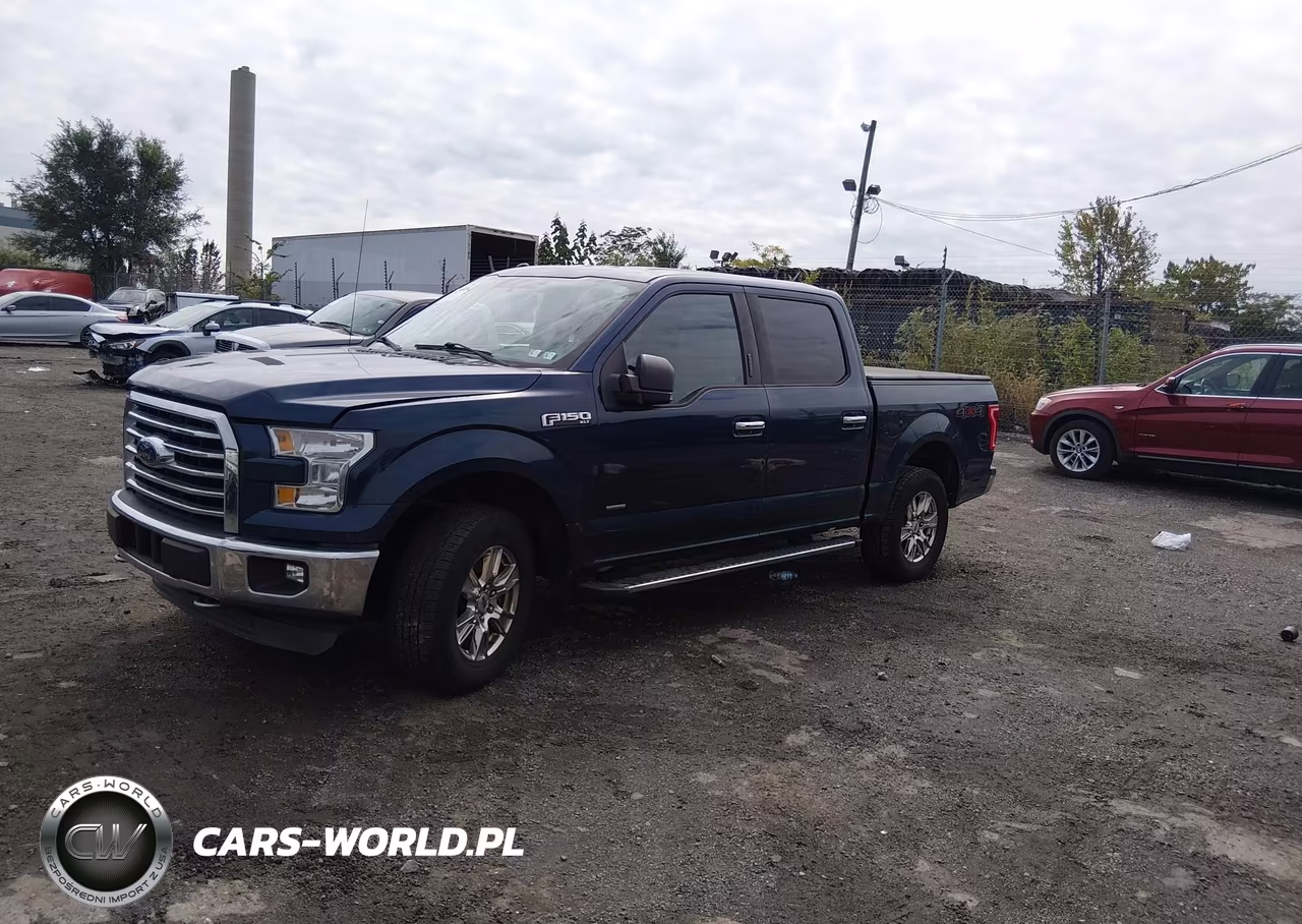 2016 Ford F-150 Xlt VIN:1FTEW1EP1GFA49487 - 2