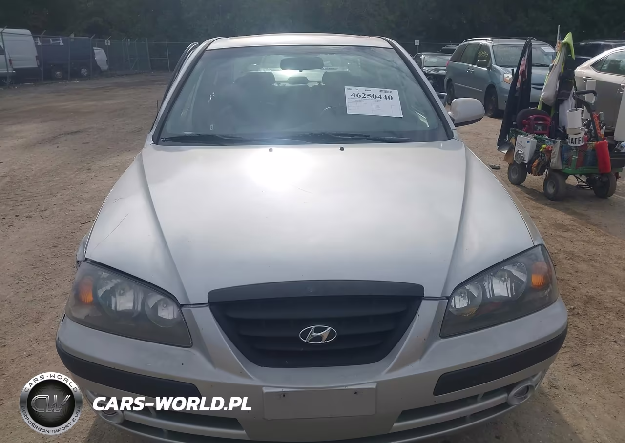 2004 Hyundai Elantra Gls-Gt VIN:KMHDN46D24U851408 - 12