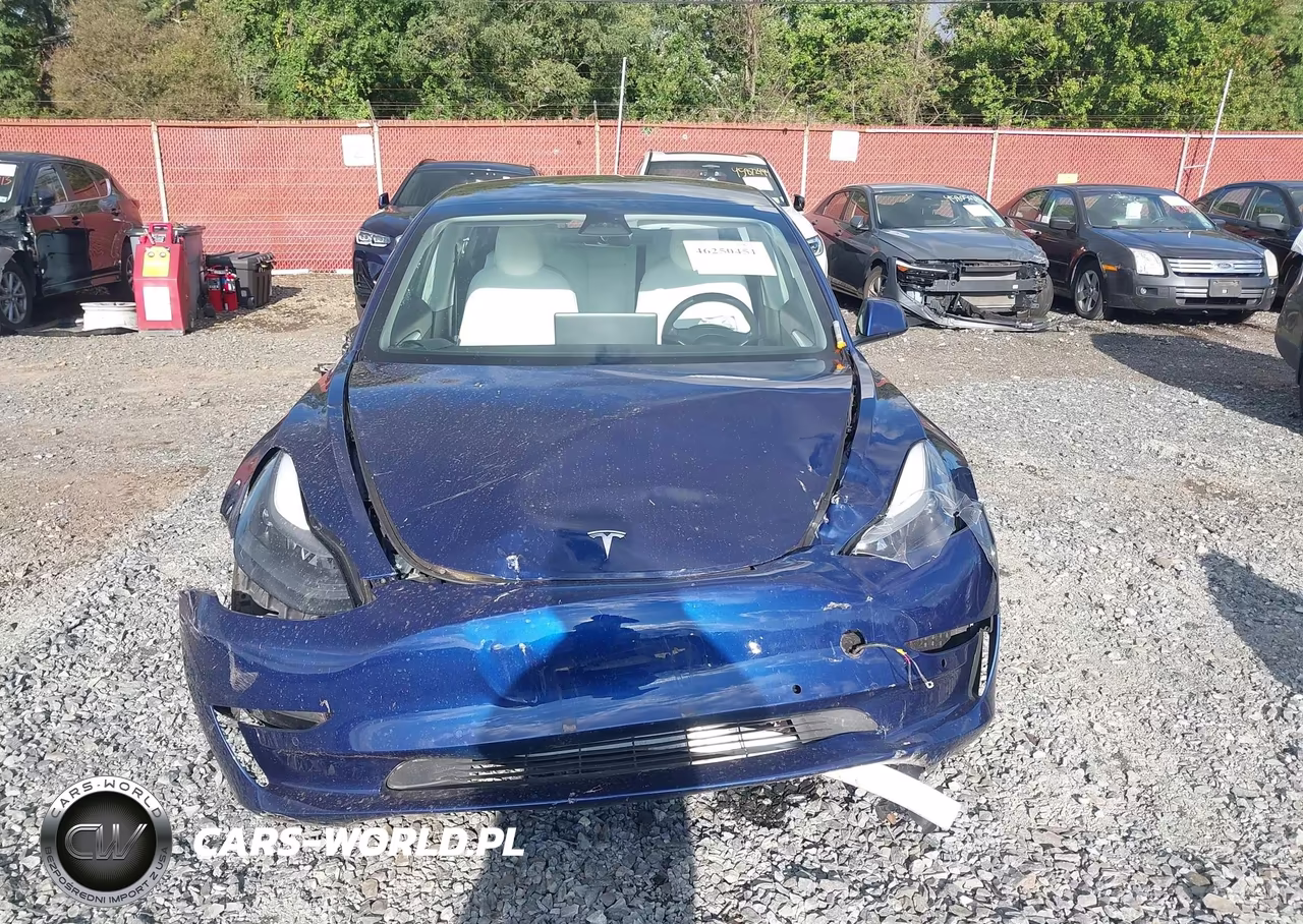 2022 Tesla Model 3 Long Range Dual Motor All-Wheel Drive VIN:5YJ3E1EB2NF198829 - 12