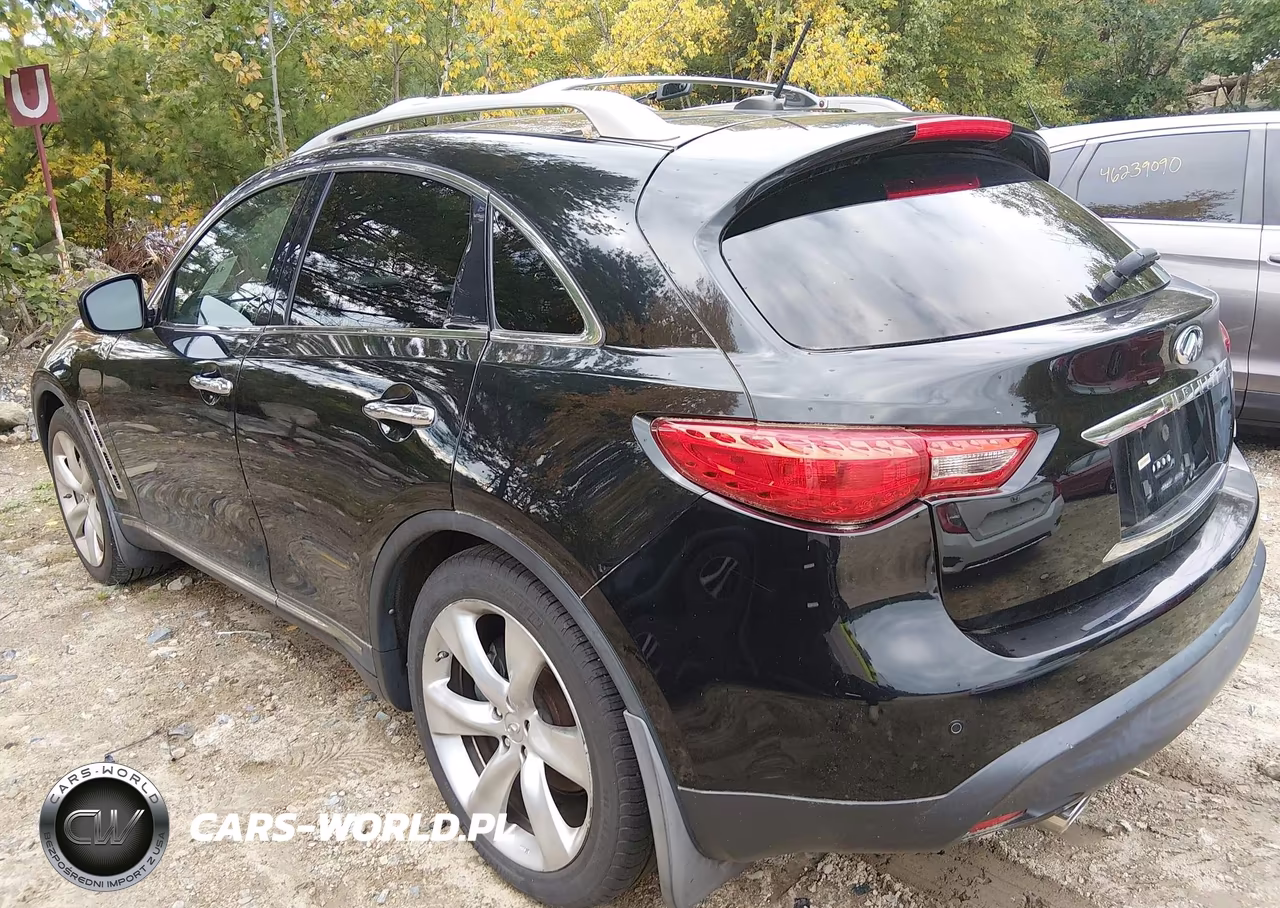 2009 Infiniti Fx50 VIN:JNRBS18W69M201473 - 3
