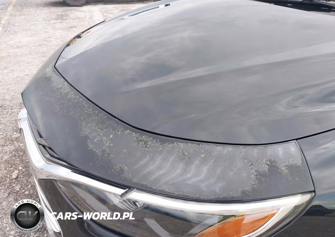 2020 Chevrolet Malibu Fwd 1Fl VIN:1G1ZC5ST6LF013638 - 13