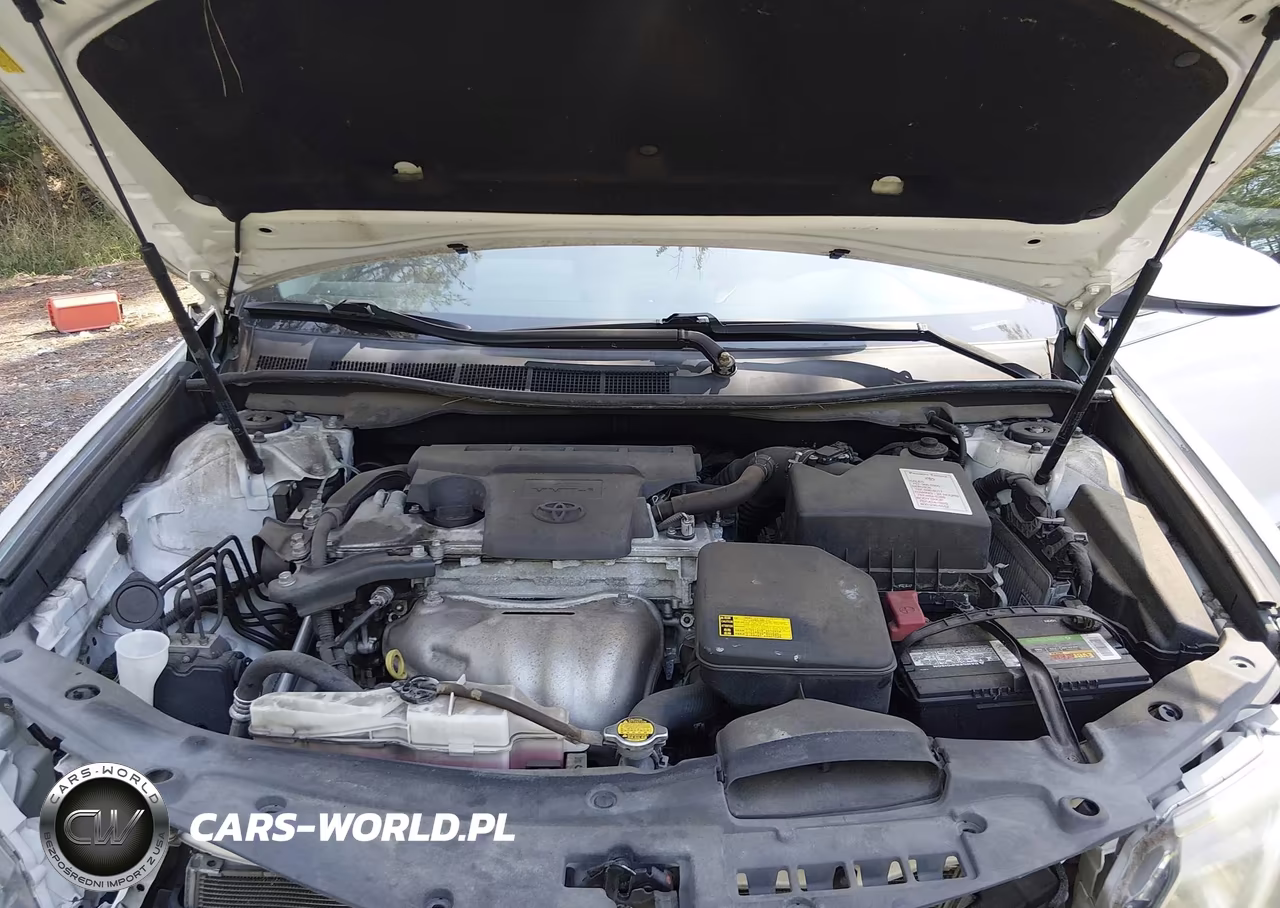 2014 Toyota Camry Se VIN:4T1BF1FK5EU362861 - 10