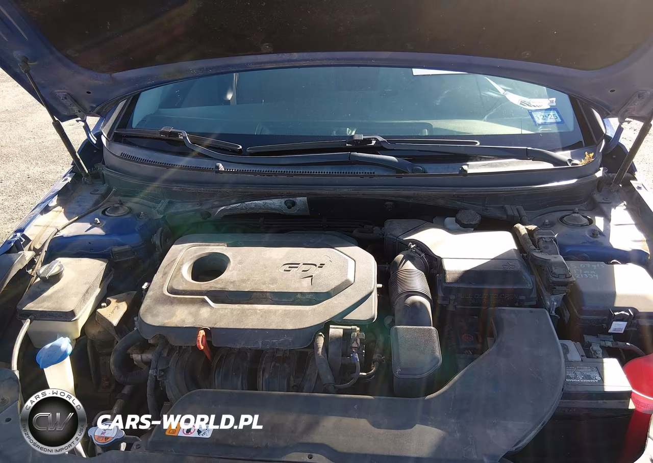 2016 Hyundai Sonata Sport VIN:5NPE34AF2GH423053 - 10