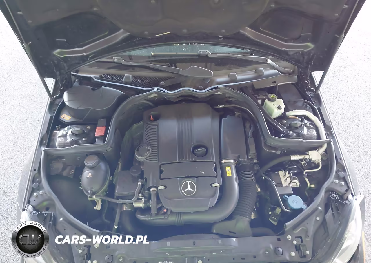 2014 Mercedes-Benz C 250 Luxury-Sport VIN:WDDGF4HB3EA888695 - 10
