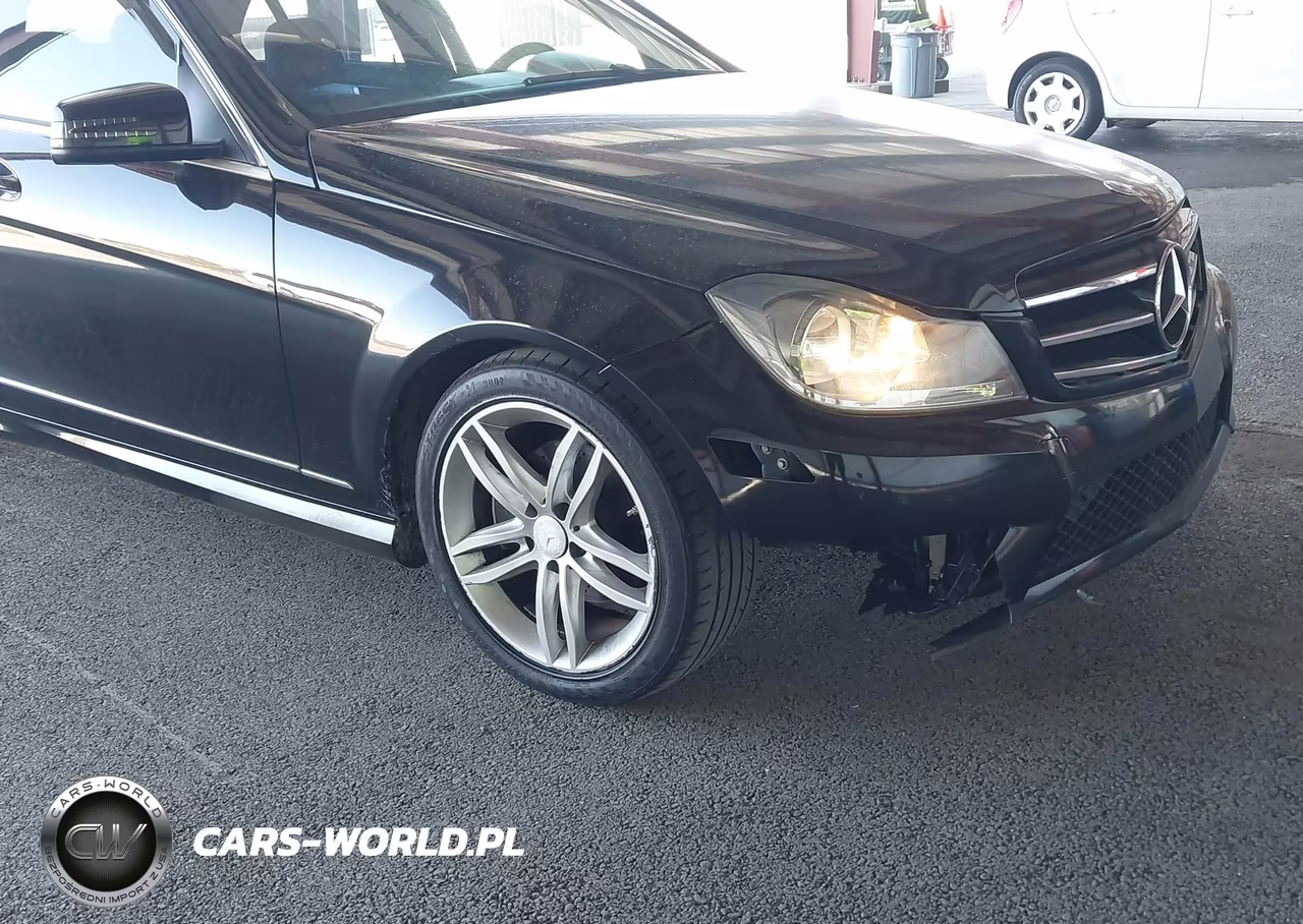 2014 Mercedes-Benz C 250 Luxury-Sport VIN:WDDGF4HB3EA888695 - 14