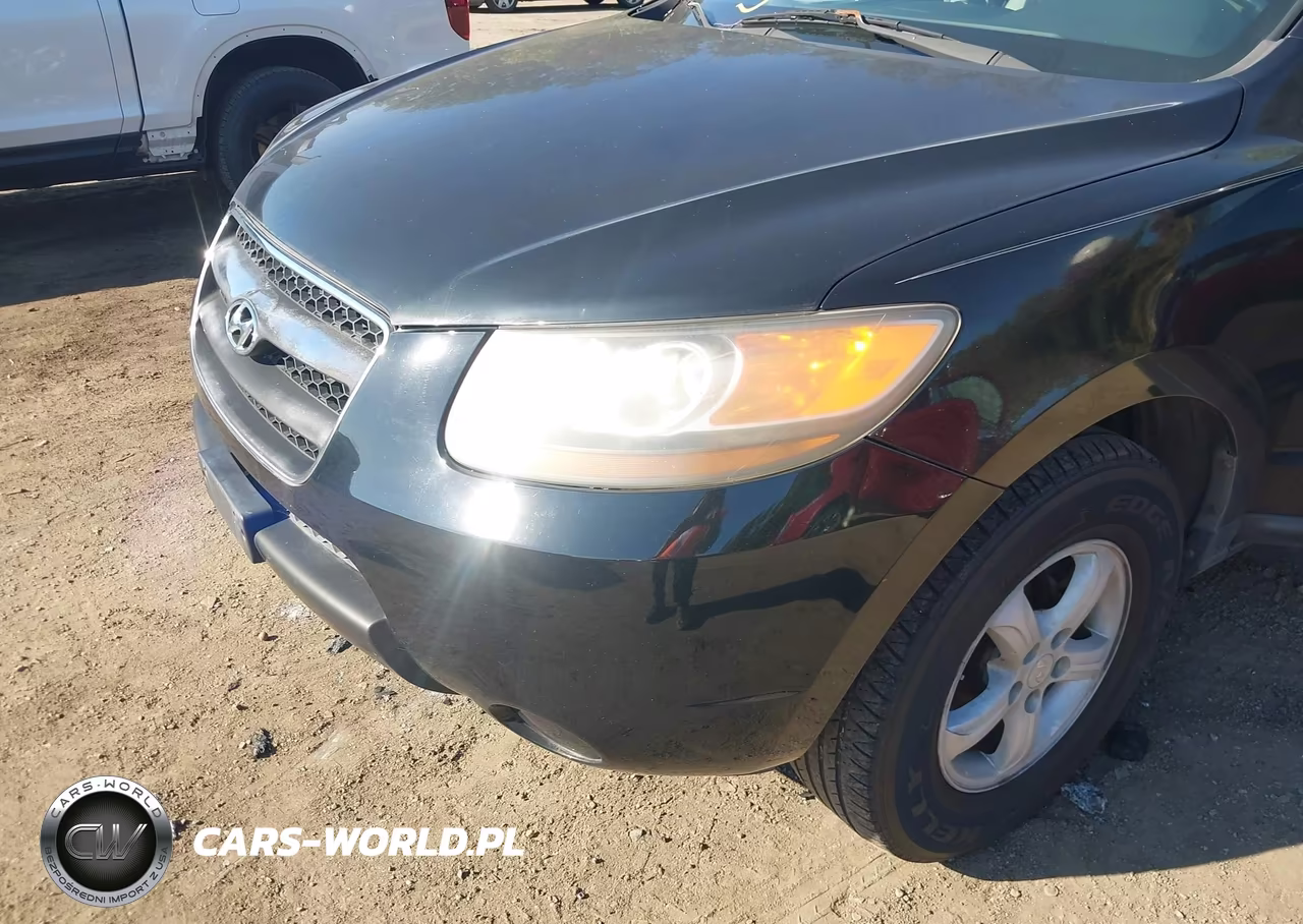 2007 Hyundai Santa Fe Gls VIN:KM8SG13D67U115452 - 6