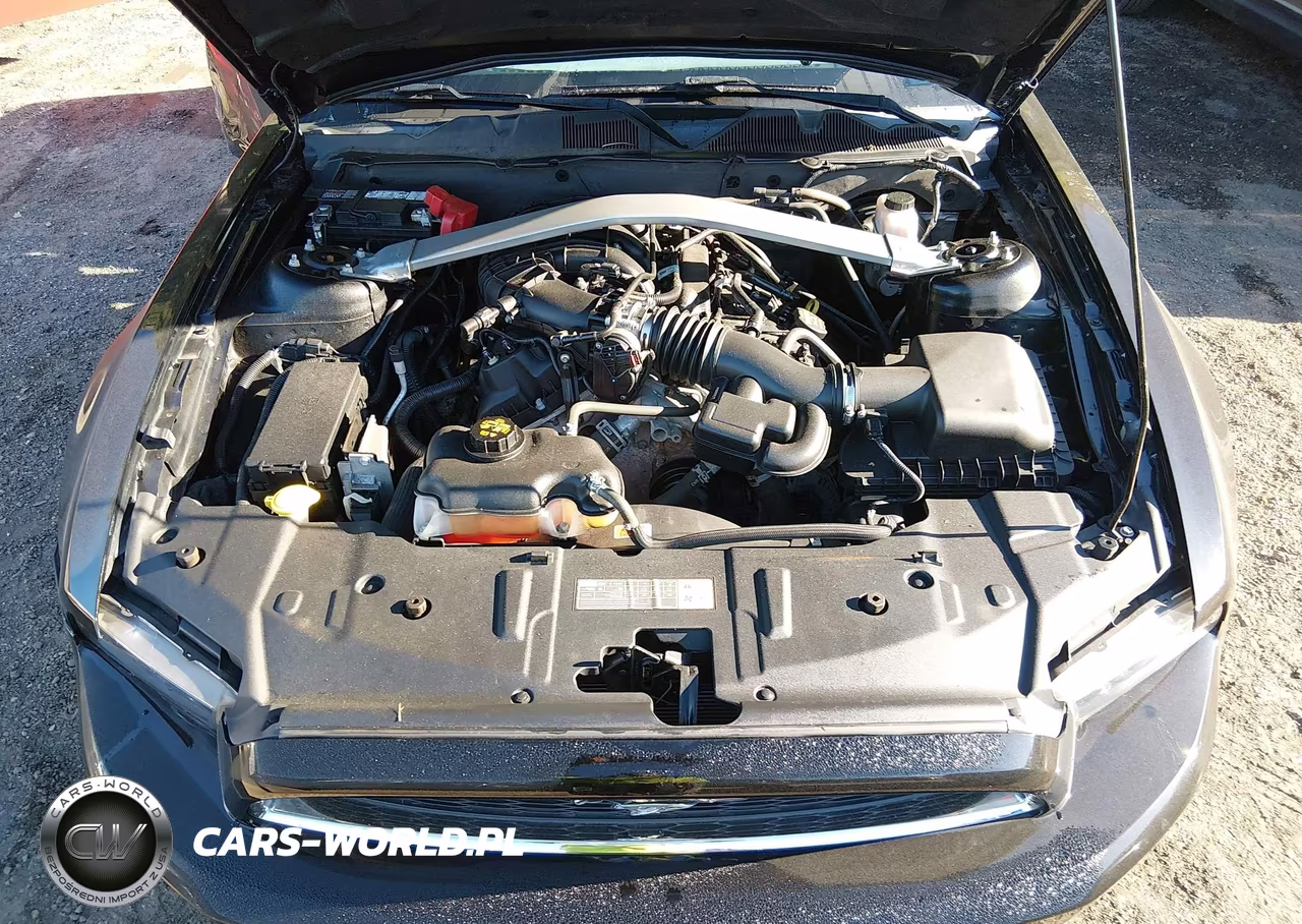 2013 Ford Mustang V6 Premium VIN:1ZVBP8EM2D5258671 - 10