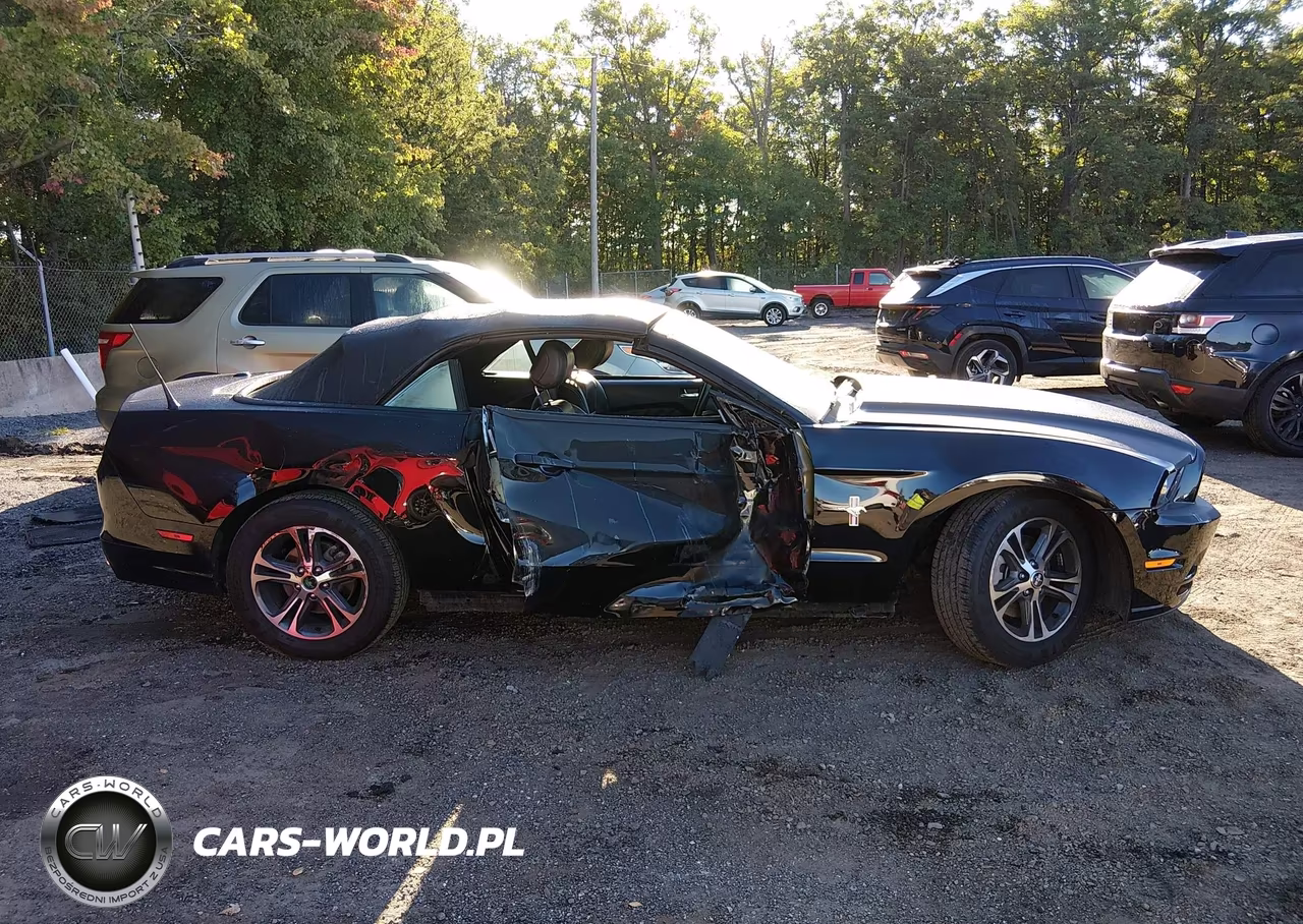 2013 Ford Mustang V6 Premium VIN:1ZVBP8EM2D5258671 - 13