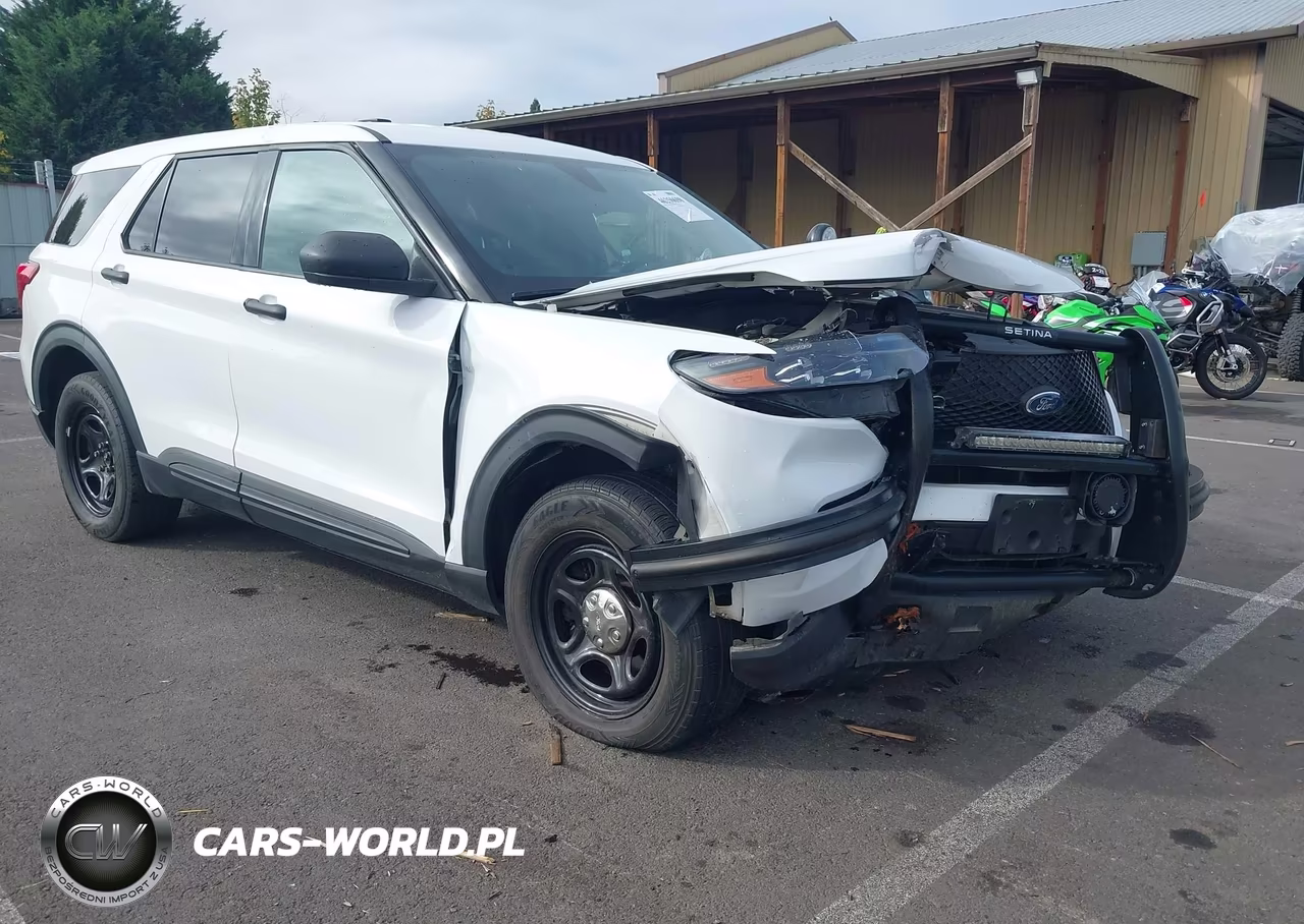 2020 Ford Police Interceptor Utility VIN:1FM5K8AB2LGB23854 - 18