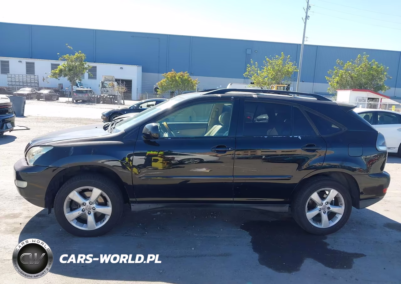 2004 Lexus Rx 330 VIN:JTJGA31U740040190 - 14