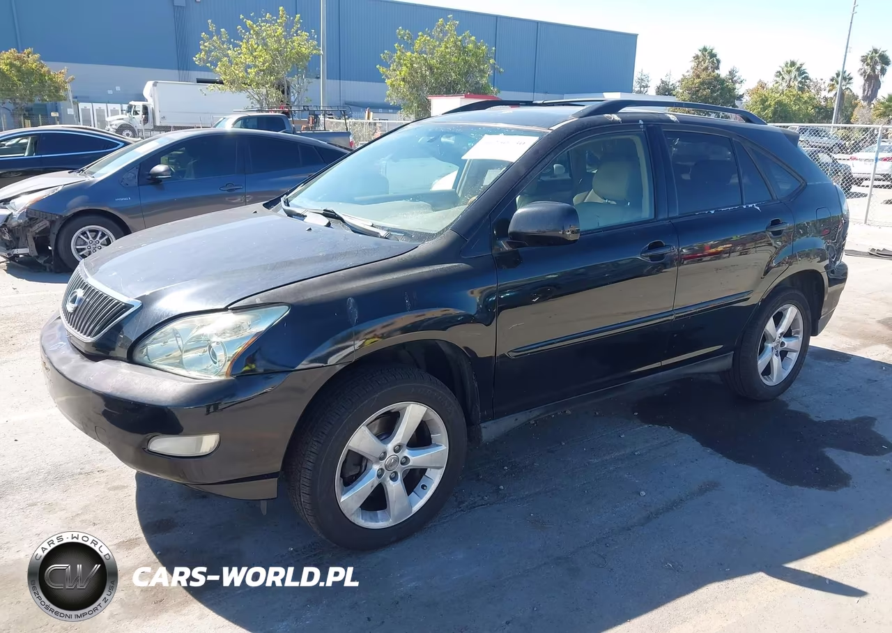 2004 Lexus Rx 330 VIN:JTJGA31U740040190 - 2