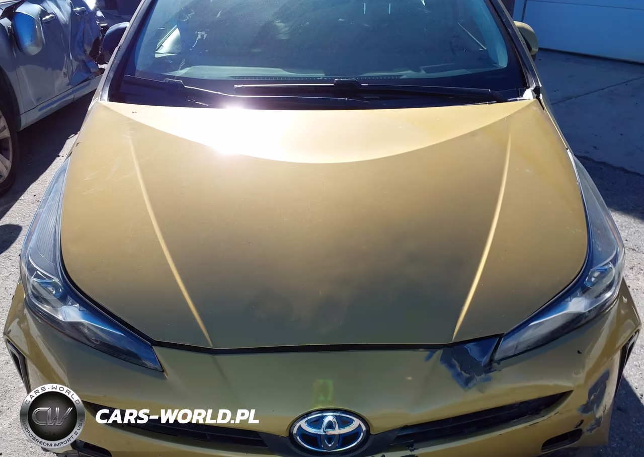 2021 Toyota Prius Le VIN:JTDKAMFU7M3153132 - 10