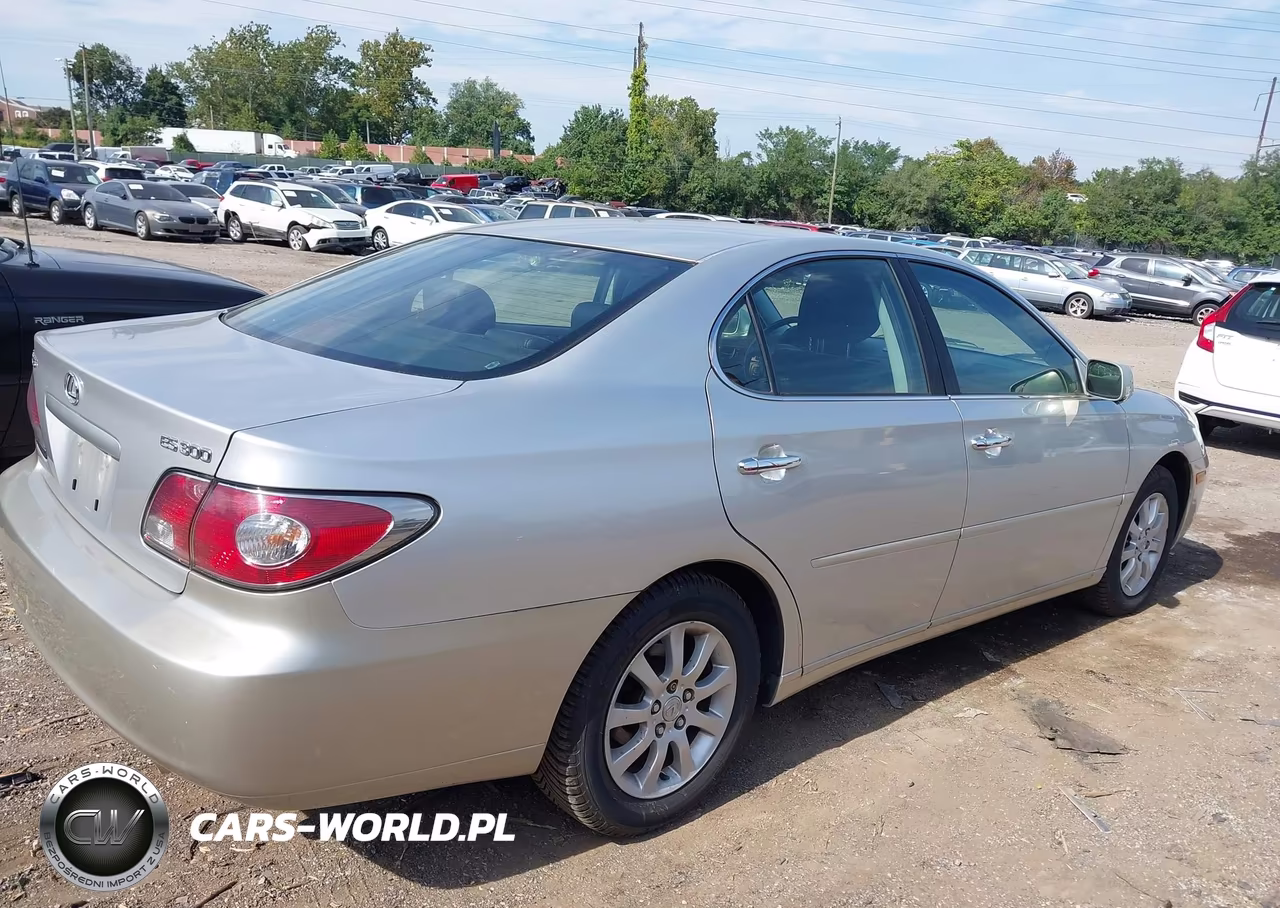 2002 Lexus Es 300 VIN:JTHBF30G420075520 - 4
