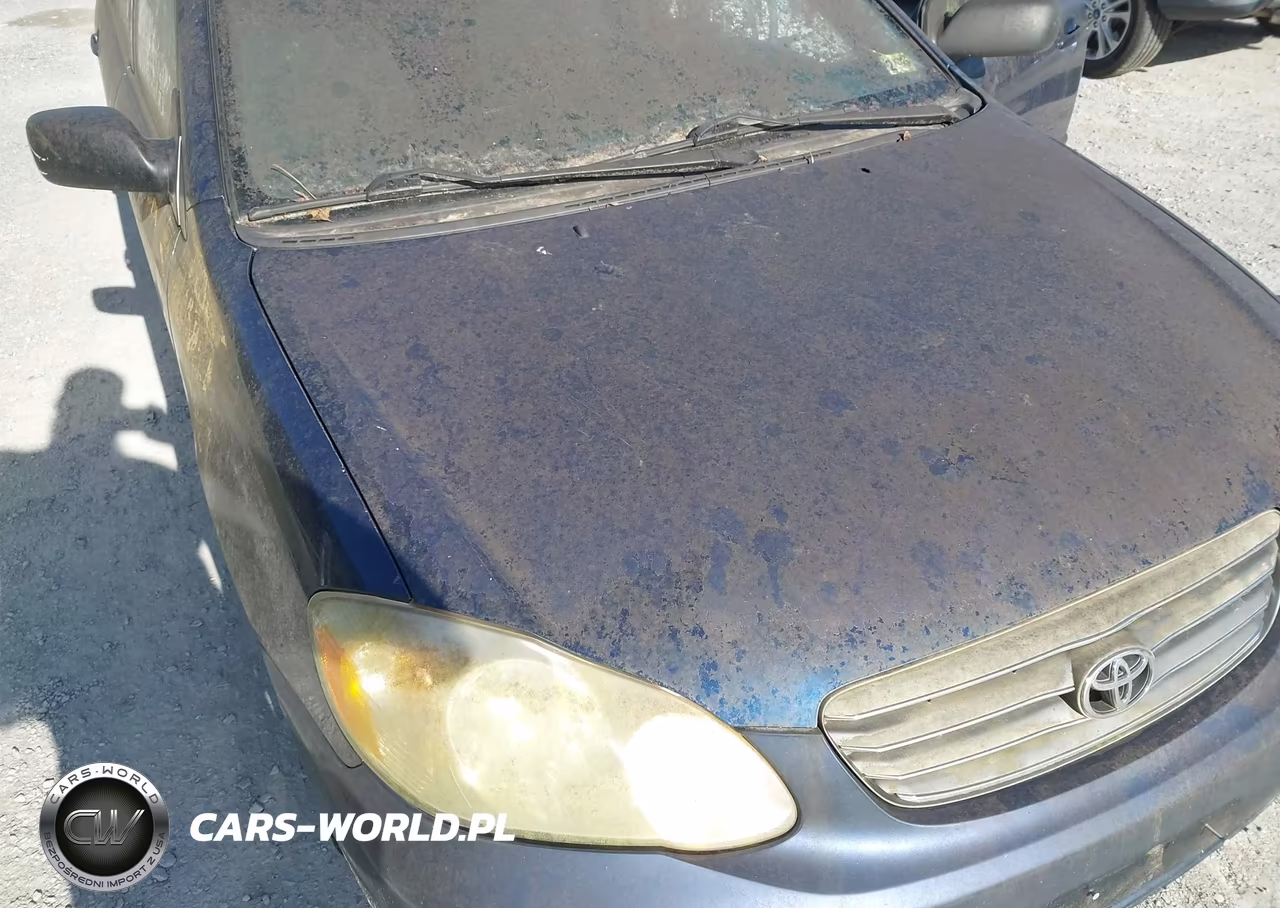 2004 Toyota Corolla Ce VIN:JTDBR32EX42040010 - 6