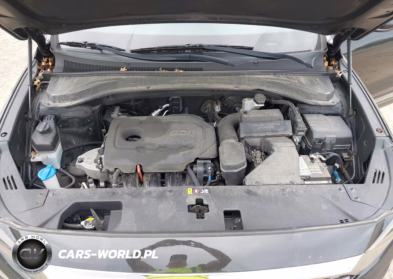 2019 Hyundai Santa Fe Sel VIN:5NMS3CAD9KH000312 - 10