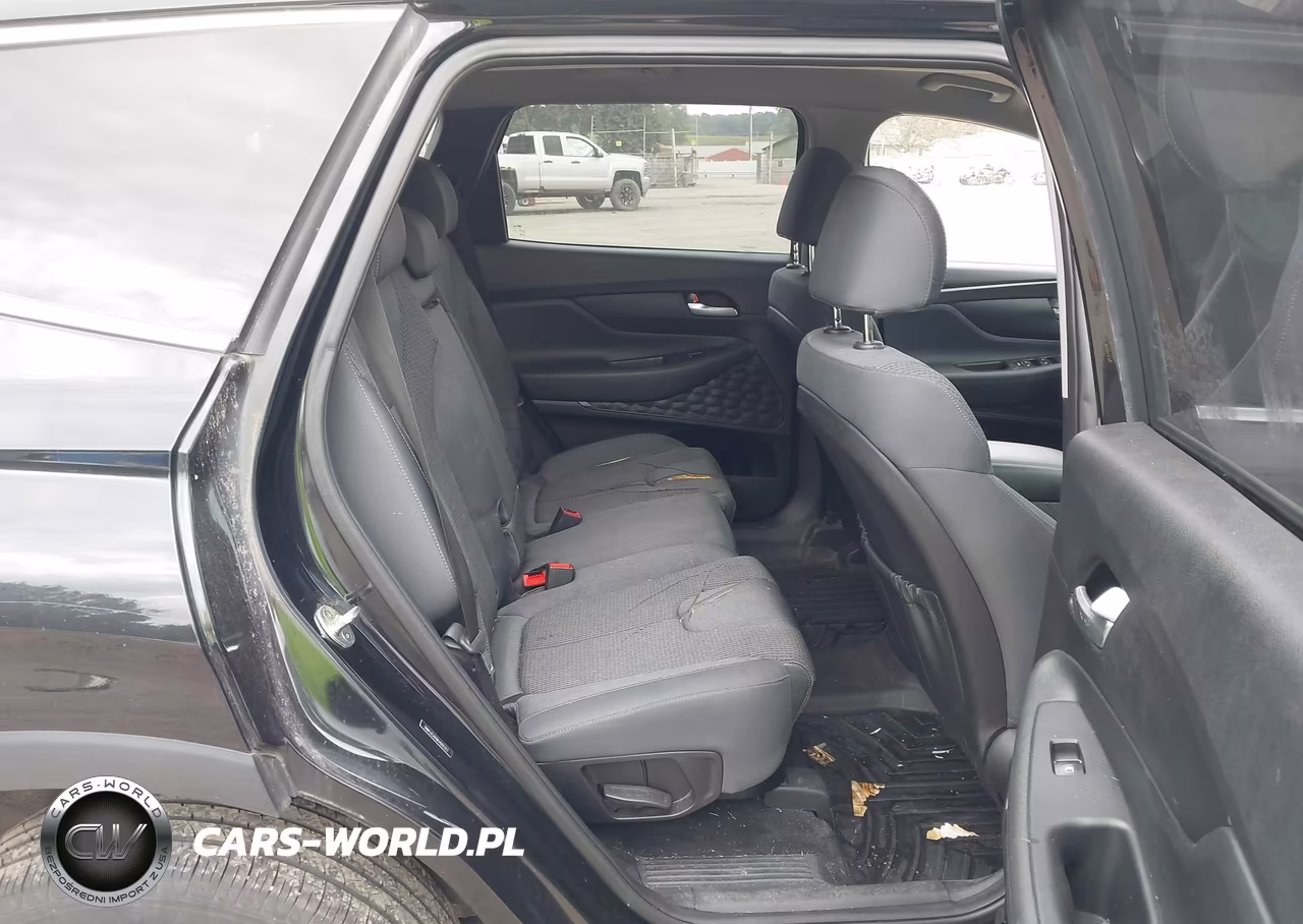 2019 Hyundai Santa Fe Sel VIN:5NMS3CAD9KH000312 - 8