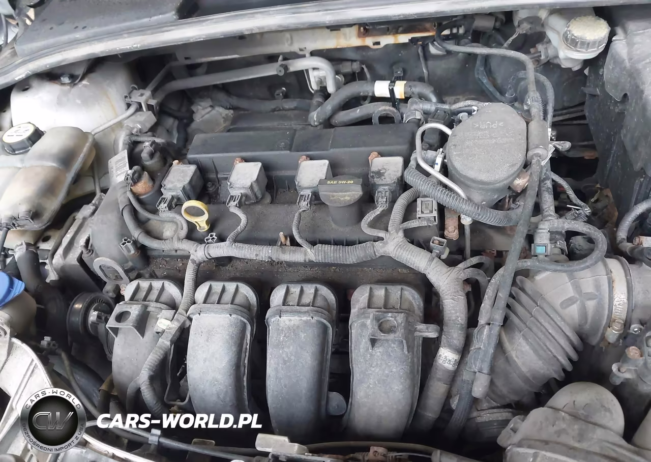 2012 Ford Focus Se VIN:1FAHP3F26CL425675 - 10