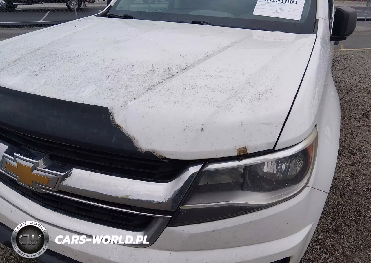 2019 Chevrolet Colorado Wt VIN:1GCGSBEN5K1126392 - 6