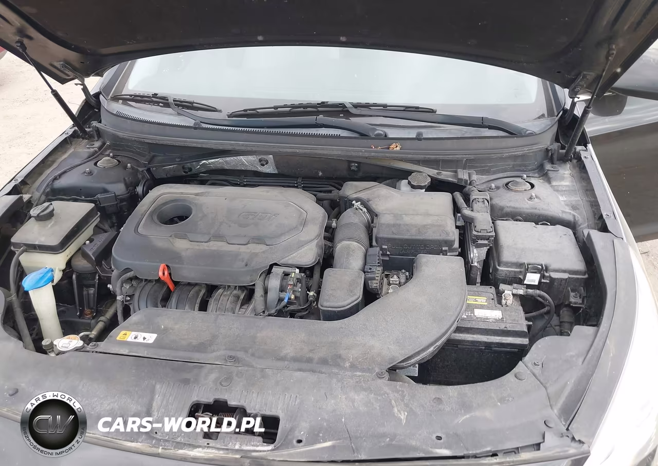 2016 Hyundai Sonata VIN:5NPE24AF9GH398672 - 10