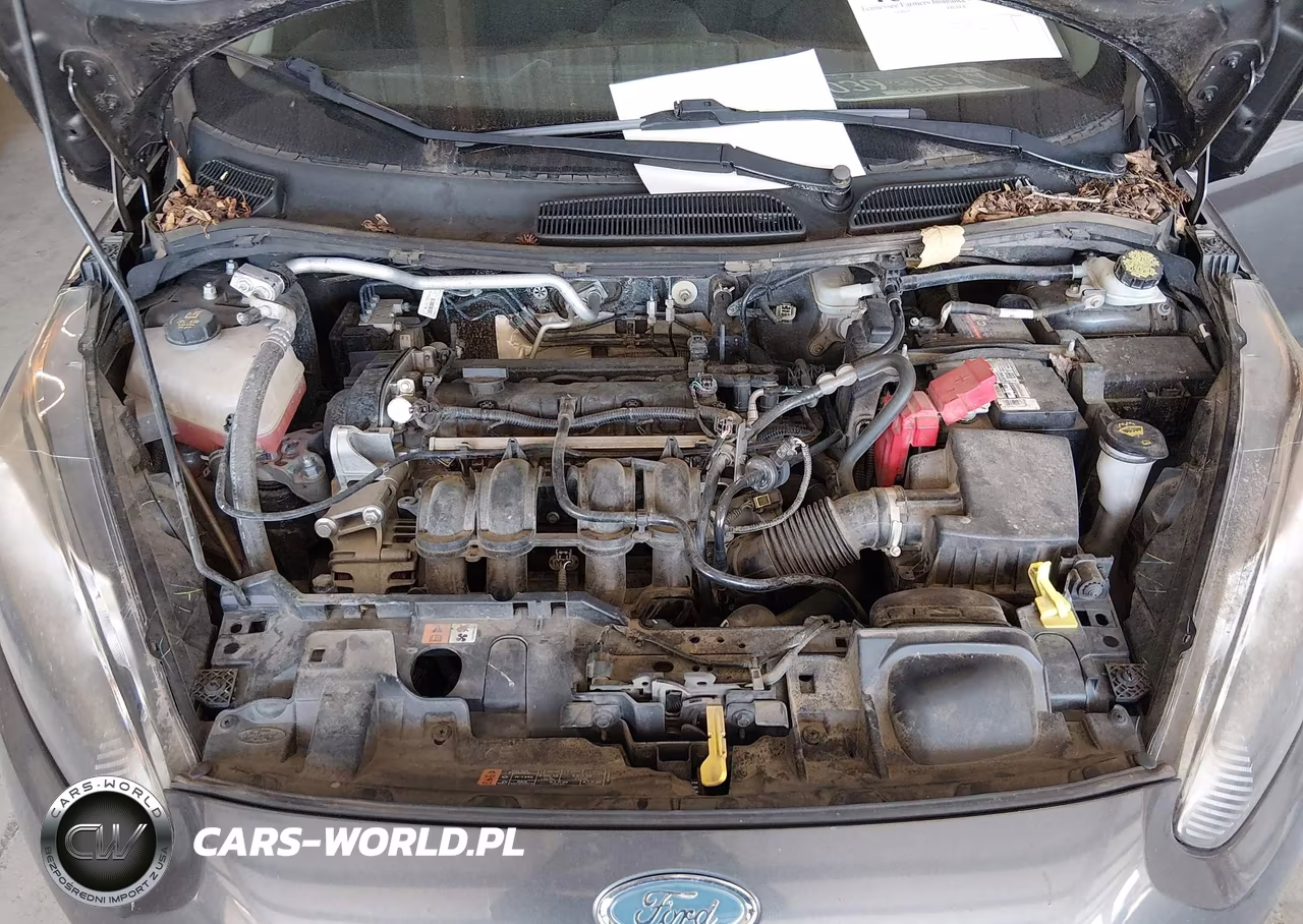 2017 Ford Fiesta Se VIN:3FADP4BJ2HM165637 - 10