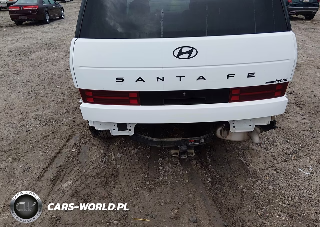 2025 Hyundai Santa Fe Hybrid Calligraphy VIN:5NMP5DG18SH026242 - 20