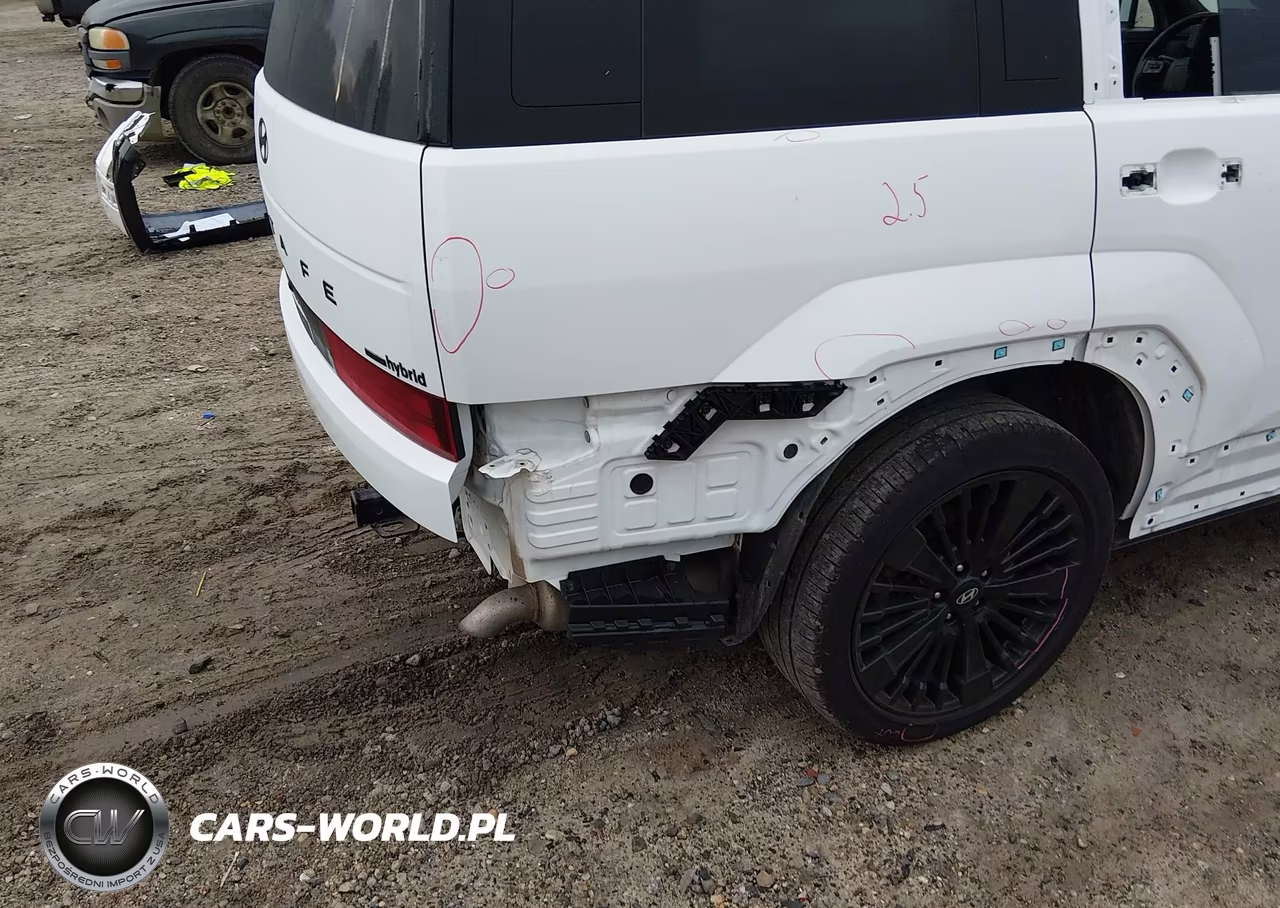 2025 Hyundai Santa Fe Hybrid Calligraphy VIN:5NMP5DG18SH026242 - 22