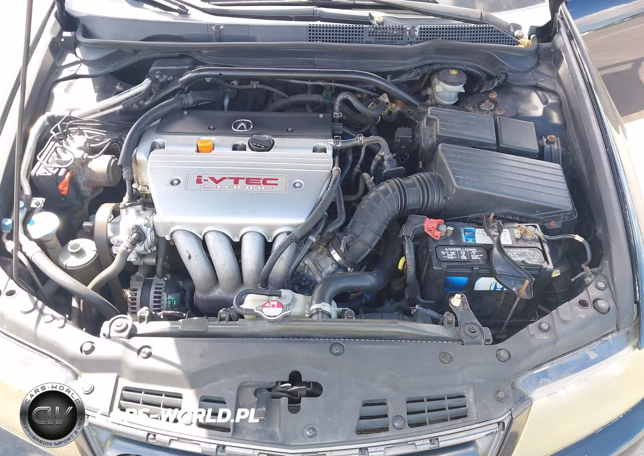 2006 Acura Tsx VIN:JH4CL968X6C013382 - 10