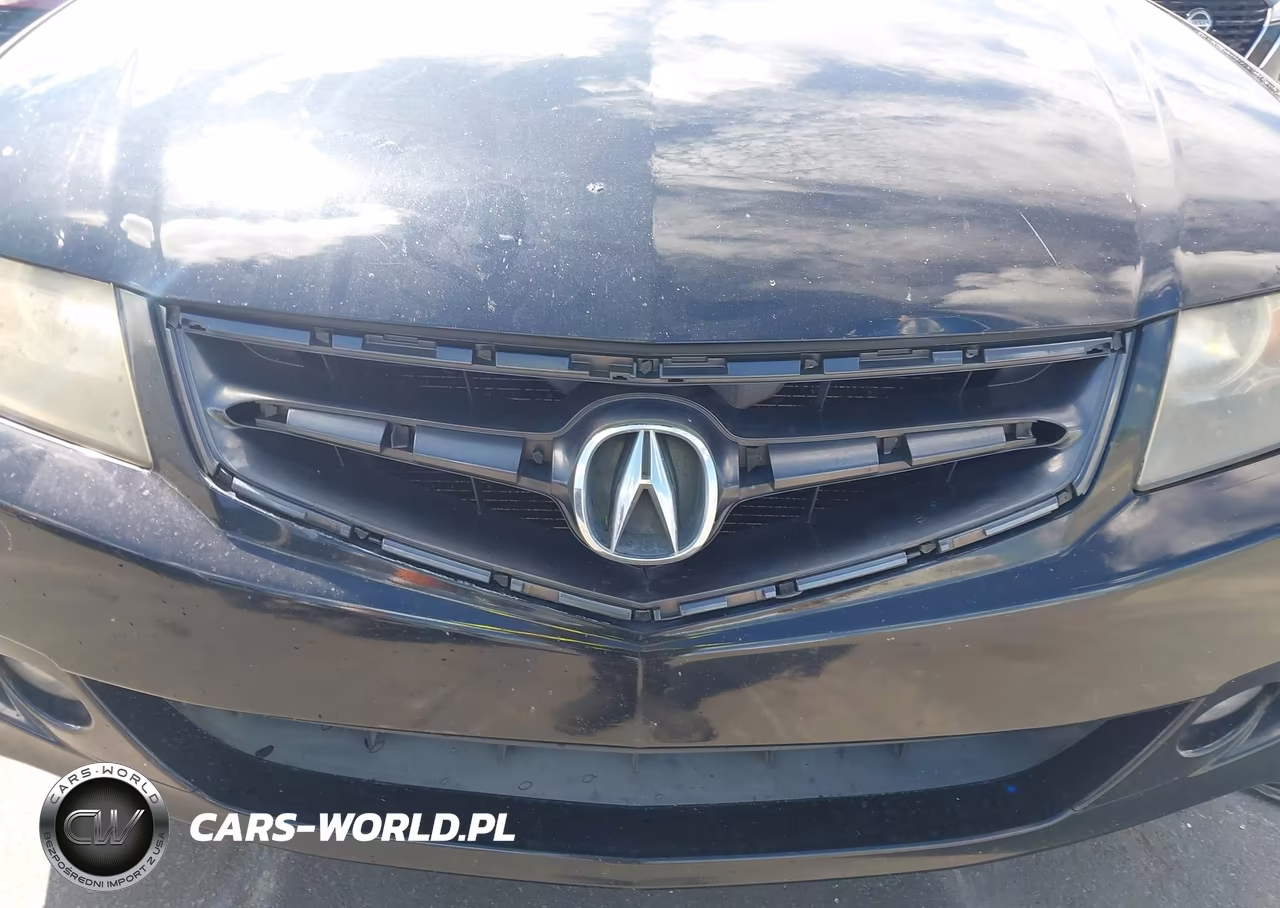 2006 Acura Tsx VIN:JH4CL968X6C013382 - 13