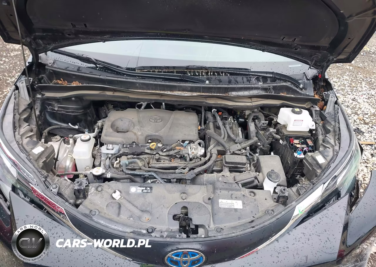 2025 Toyota Sienna Xle VIN:5TDJRKEC5SS244056 - 10