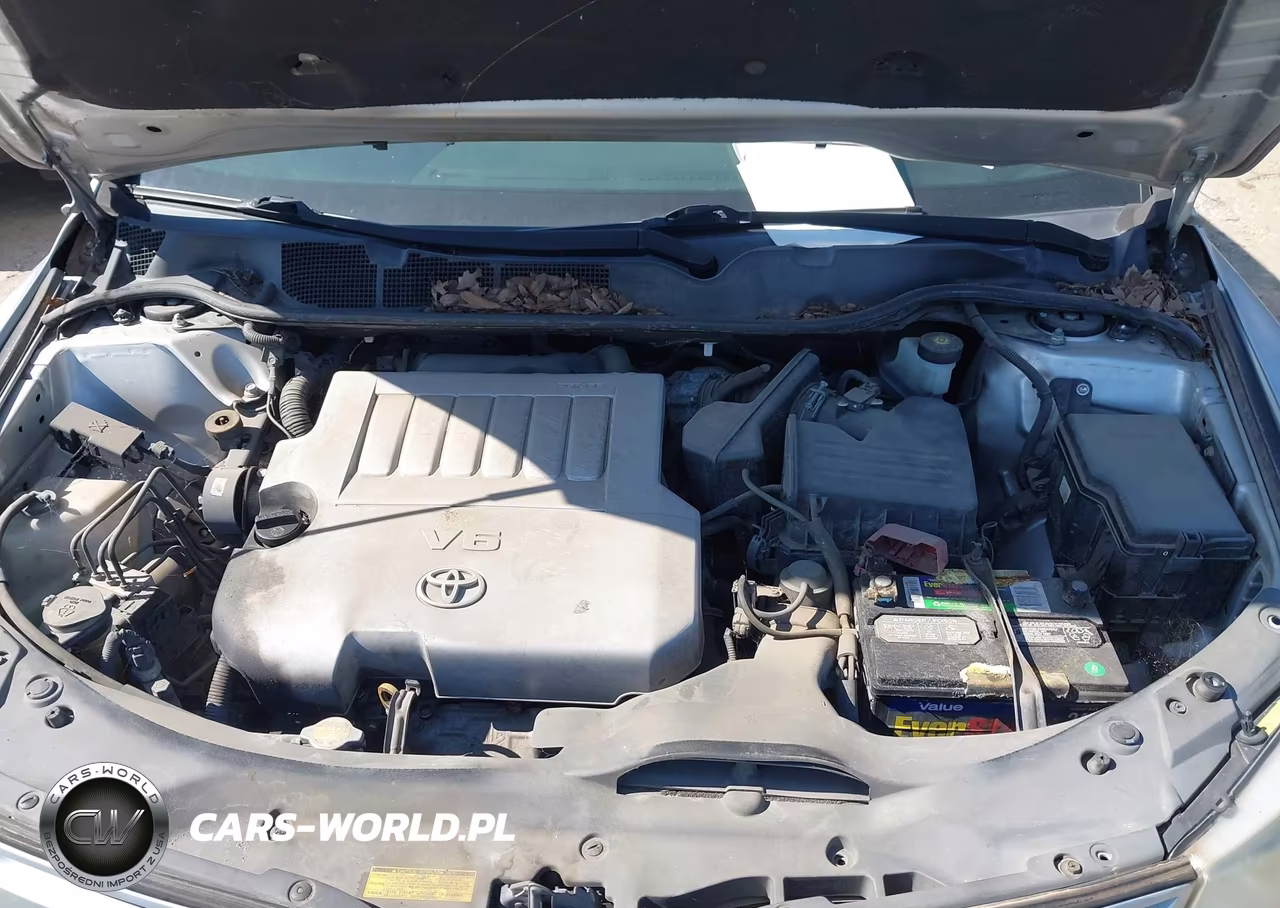 2010 Toyota Venza Base V6 VIN:4T3ZK3BBXAU033831 - 10