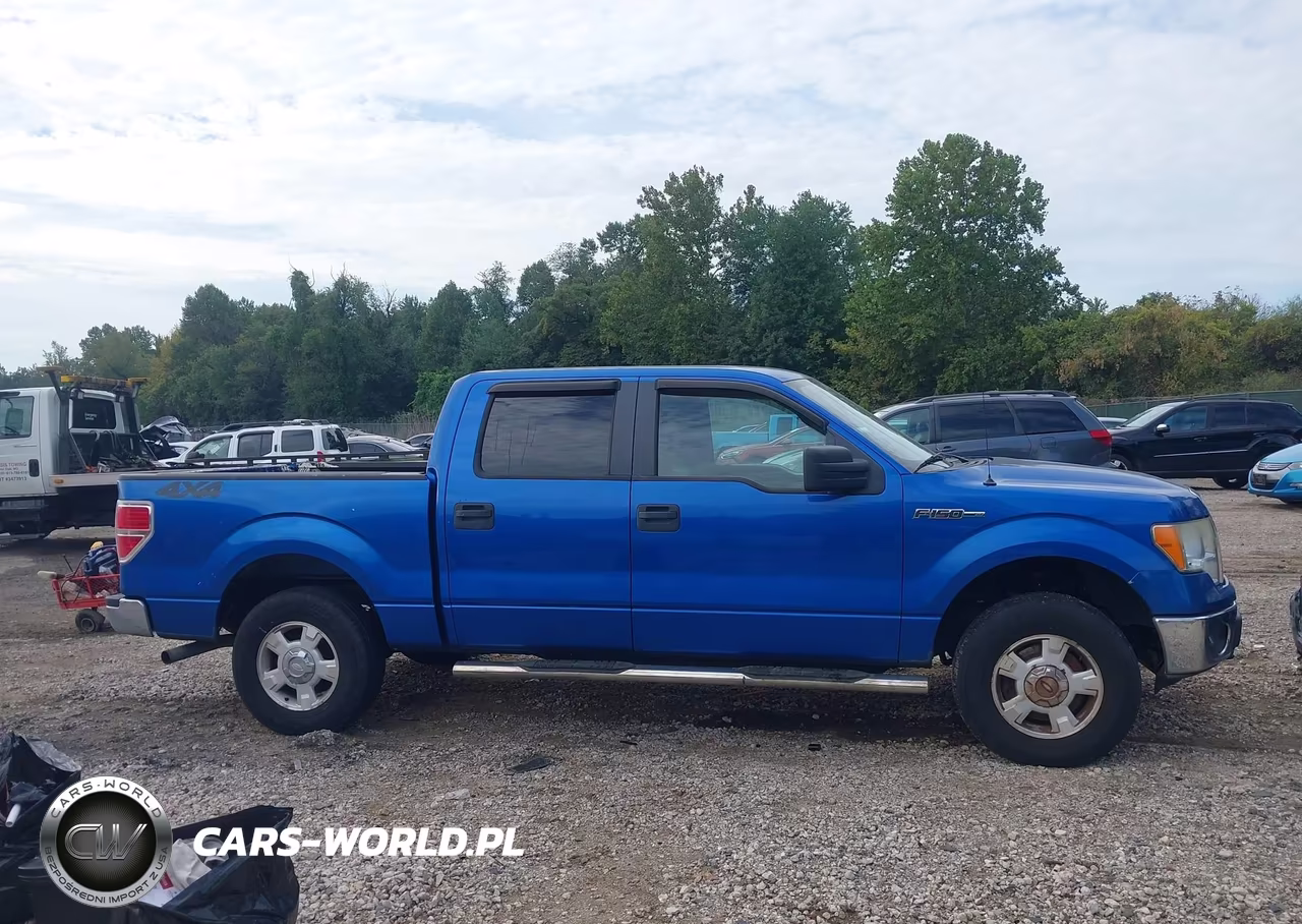2011 Ford F-150 Xlt VIN:1FTFW1EF1BFC57244 - 13