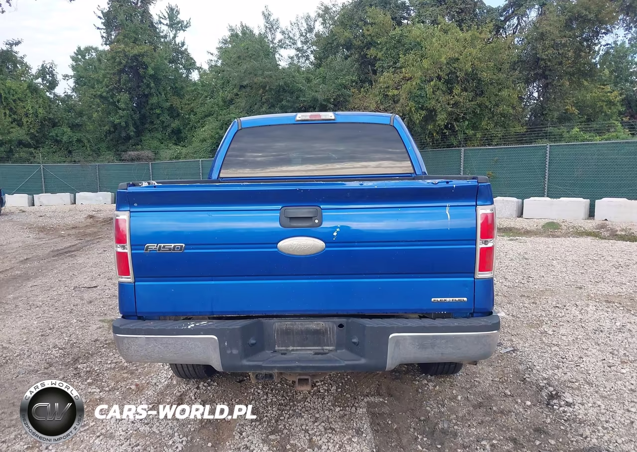 2011 Ford F-150 Xlt VIN:1FTFW1EF1BFC57244 - 16