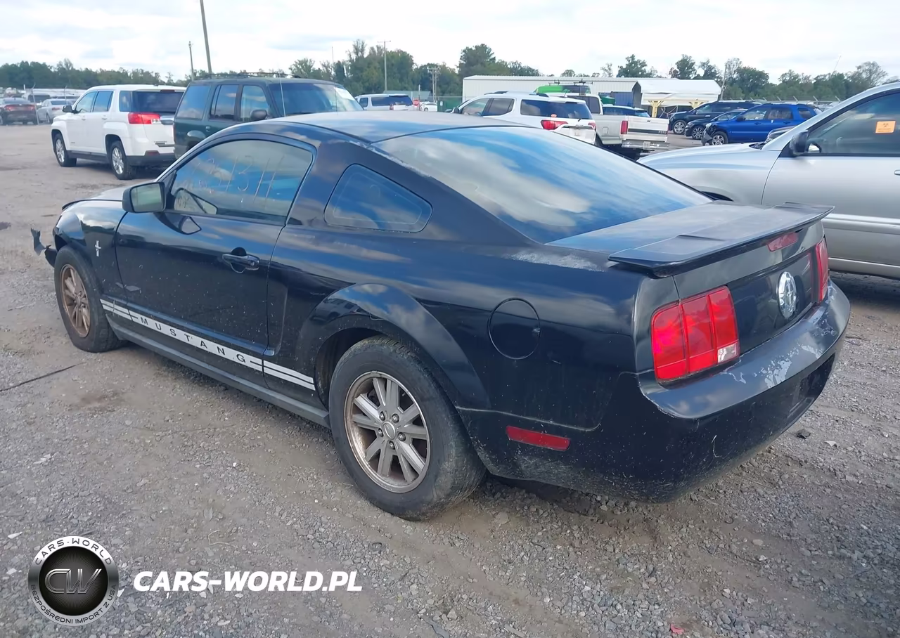 2007 Ford Mustang V6 Deluxe-V6 Premium VIN:1ZVFT80N175312494 - 3