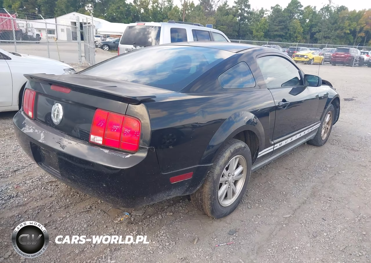 2007 Ford Mustang V6 Deluxe-V6 Premium VIN:1ZVFT80N175312494 - 4