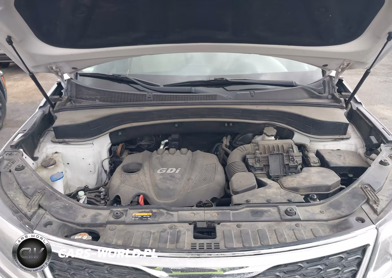 2014 Kia Sorento Lx VIN:5XYKTCA60EG523248 - 10
