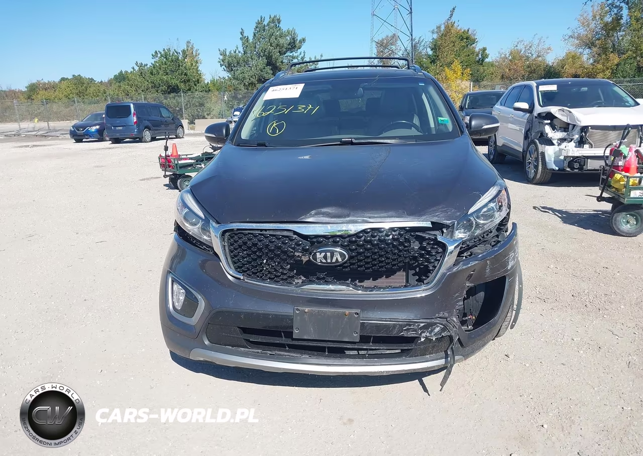 2016 Kia Sorento 3.3L Ex VIN:5XYPHDA58GG129892 - 12