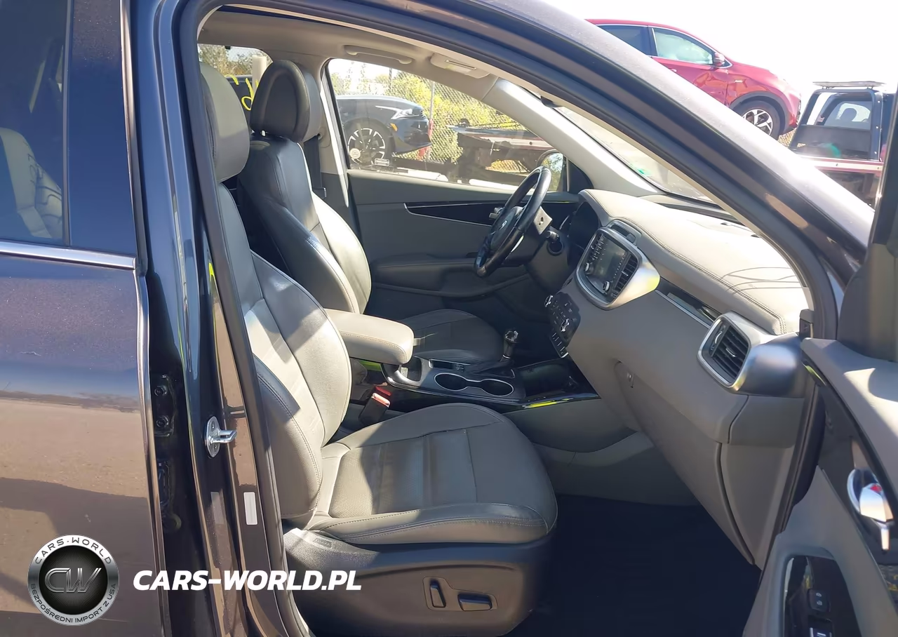 2016 Kia Sorento 3.3L Ex VIN:5XYPHDA58GG129892 - 5
