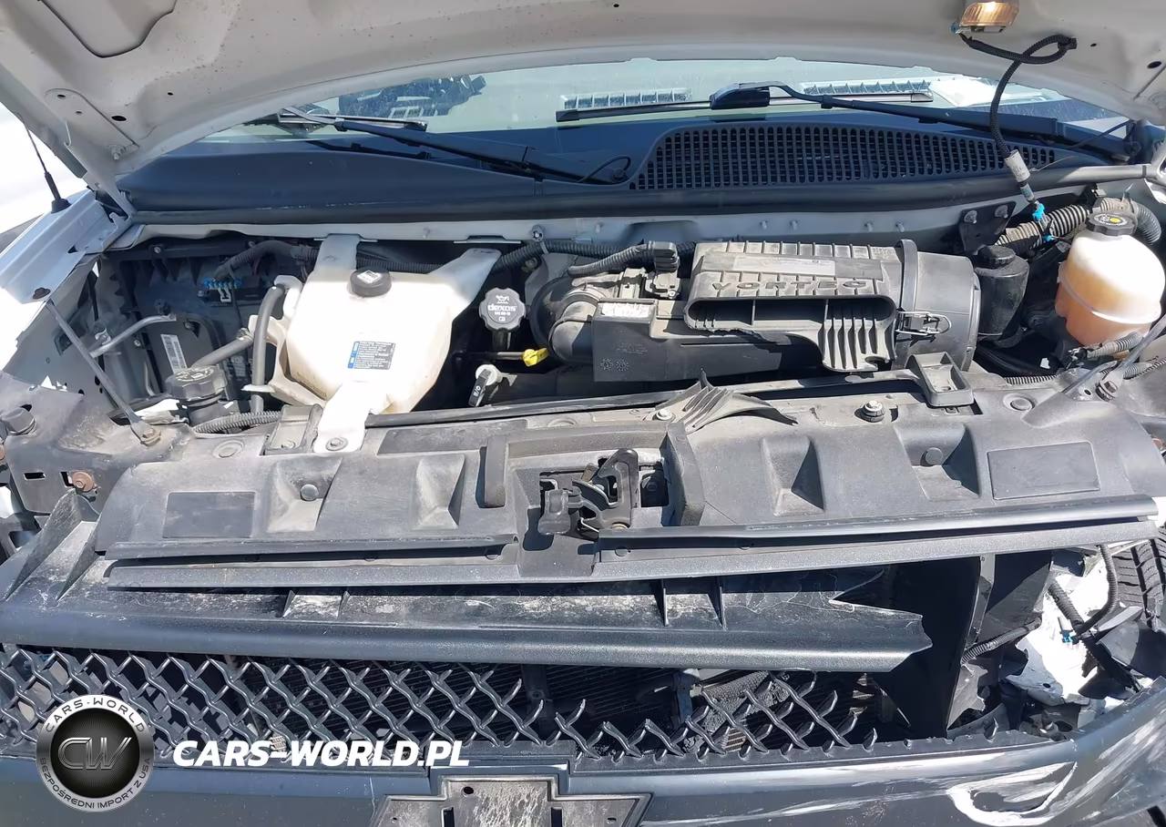 2019 Chevrolet Express 3500 Ls VIN:1GAZGNFG4K1353044 - 10