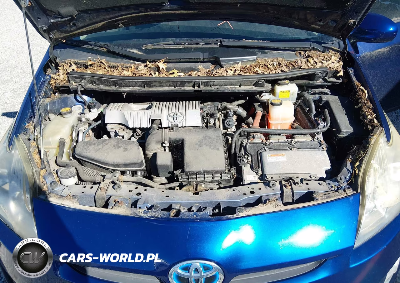 2010 Toyota Prius Iii VIN:JTDKN3DU8A5182432 - 10