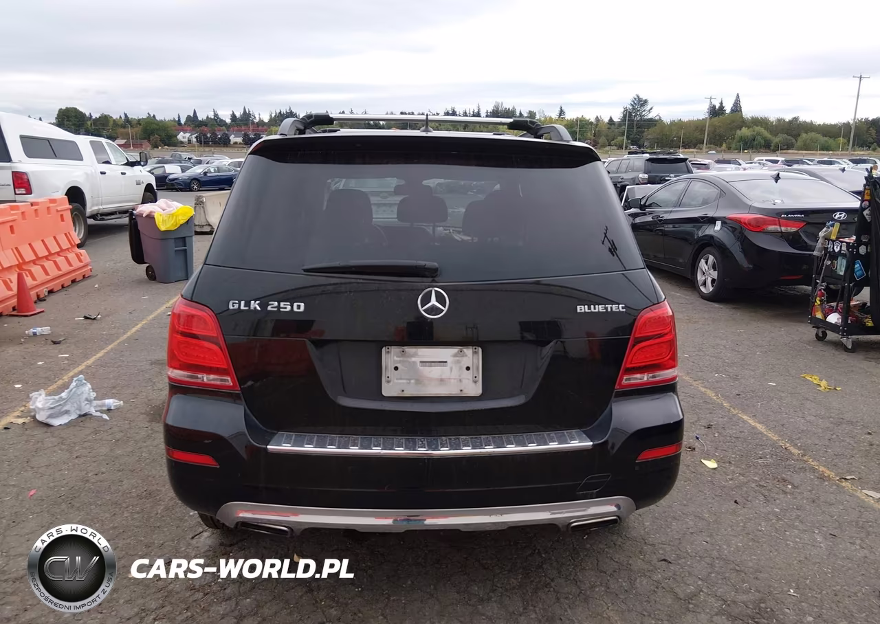 2013 Mercedes-Benz Glk 250 Bluetec 250 Bluetec VIN:WDCGG0EB0DG118848 - 16