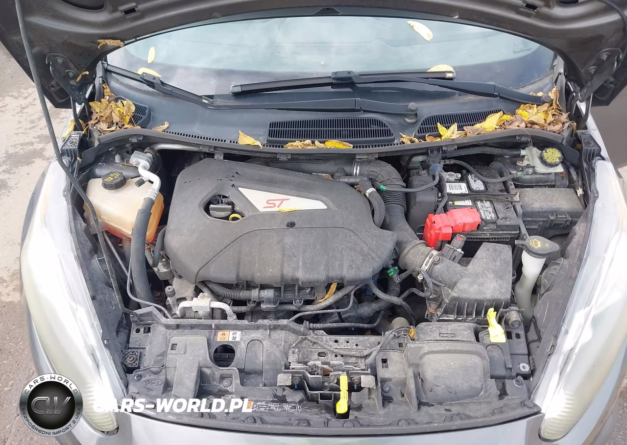 2016 Ford Fiesta St VIN:3FADP4GX1GM156911 - 10