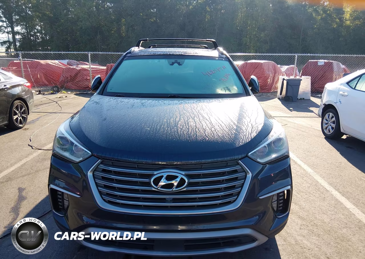 2017 Hyundai Santa Fe Limited Ultimate VIN:KM8SRDHF1HU174853 - 12