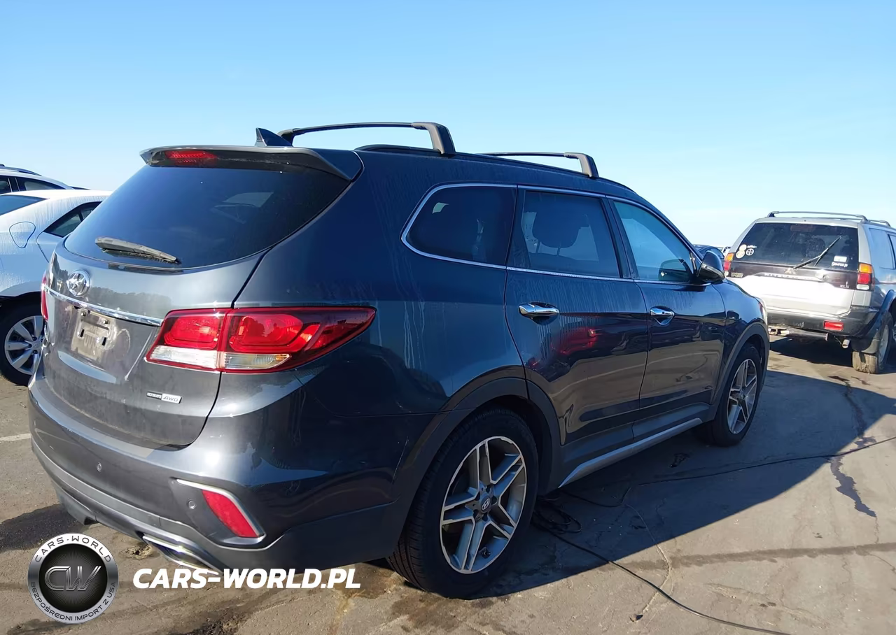 2017 Hyundai Santa Fe Limited Ultimate VIN:KM8SRDHF1HU174853 - 4