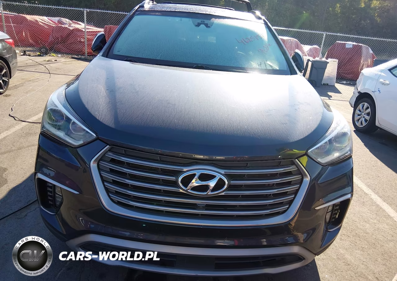 2017 Hyundai Santa Fe Limited Ultimate VIN:KM8SRDHF1HU174853 - 6