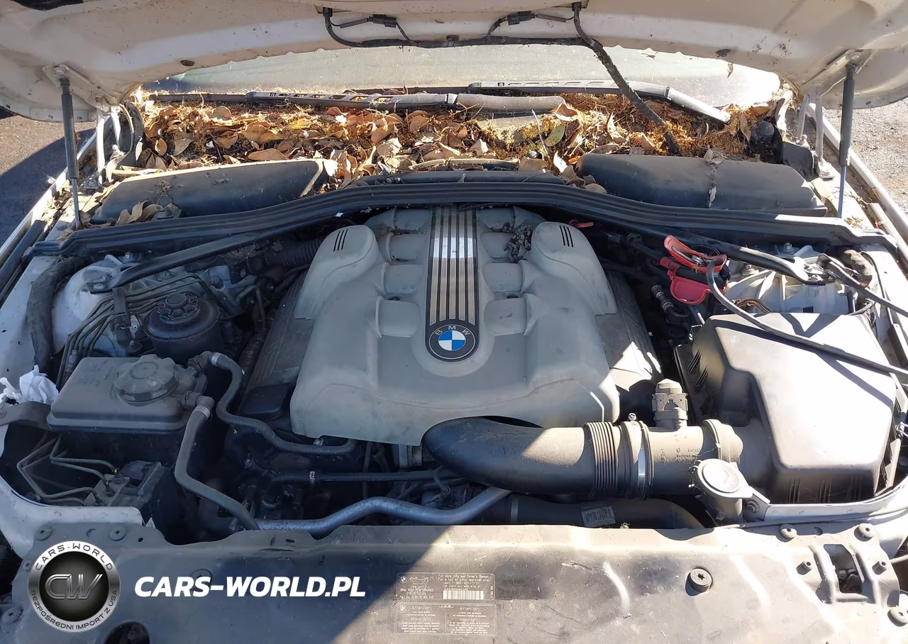 2005 BMW 545I VIN:WBANB33555CN64495 - 10