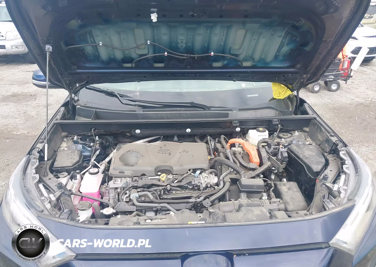 2025 Toyota Rav4 Hybrid Xle VIN:2T3RWRFV9SW268802 - 10