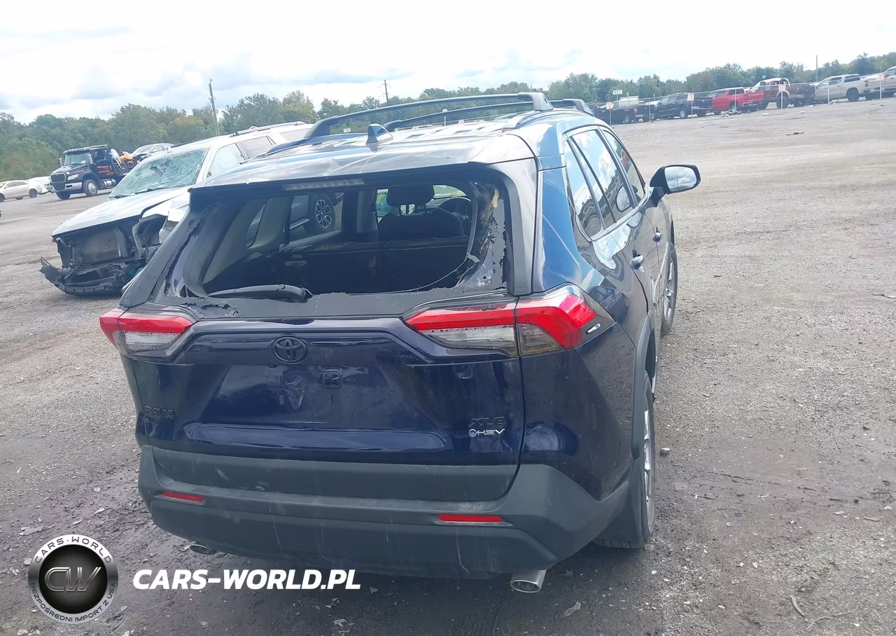 2025 Toyota Rav4 Hybrid Xle VIN:2T3RWRFV9SW268802 - 16