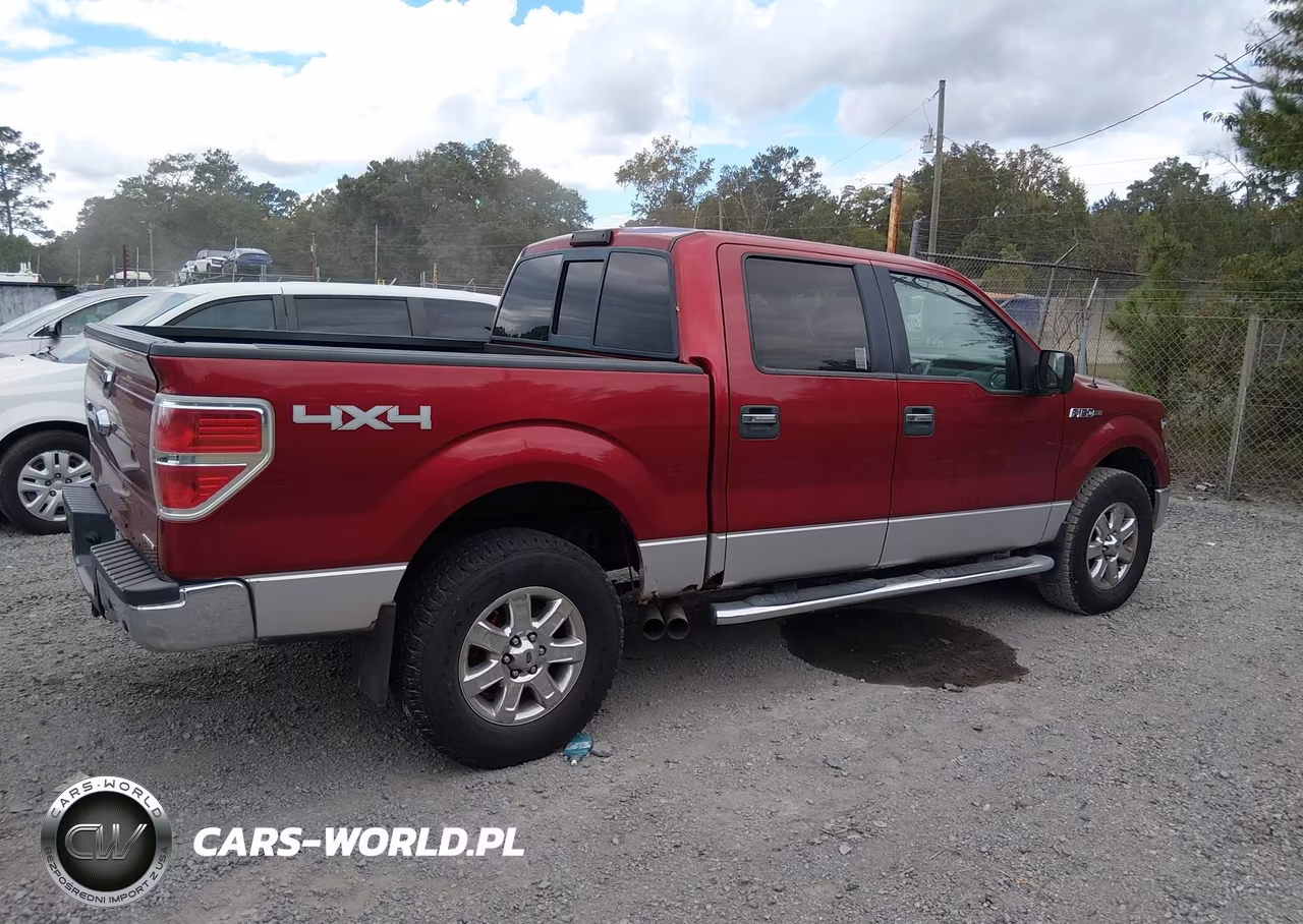 2013 Ford F-150 Xlt VIN:1FTFW1EF1DFC70434 - 13