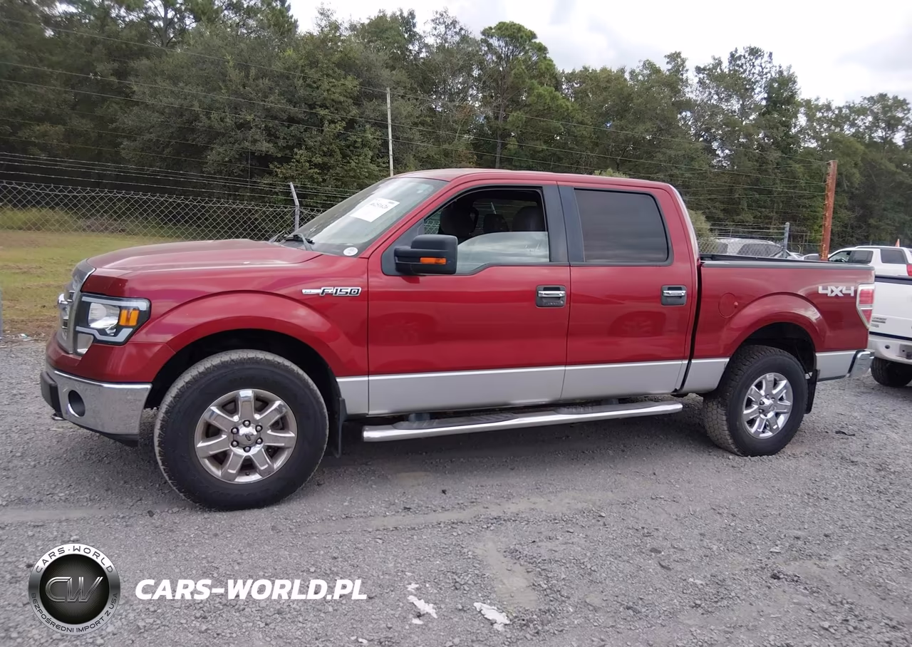 2013 Ford F-150 Xlt VIN:1FTFW1EF1DFC70434 - 14
